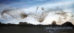 Starlings